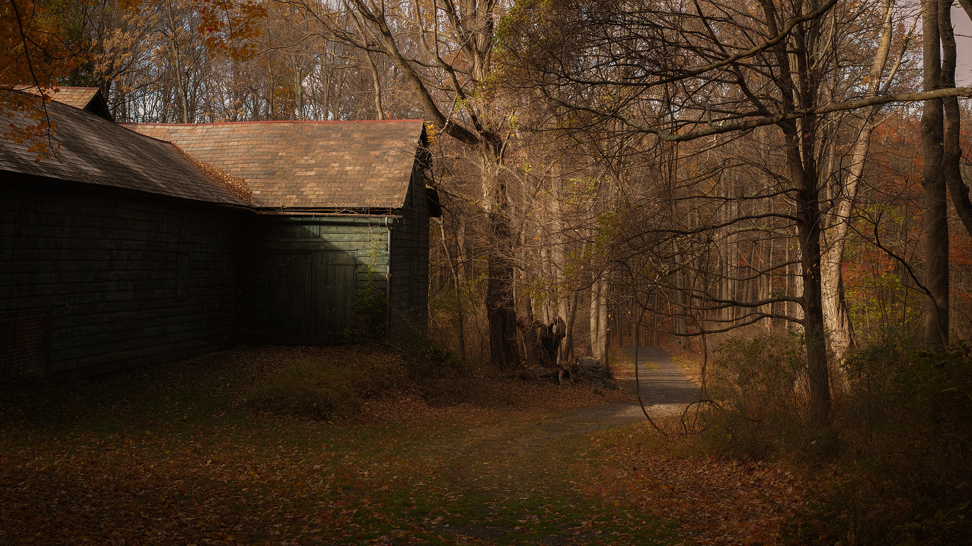 Locust Grove